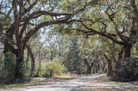 Old King's Road travels through Flagler County