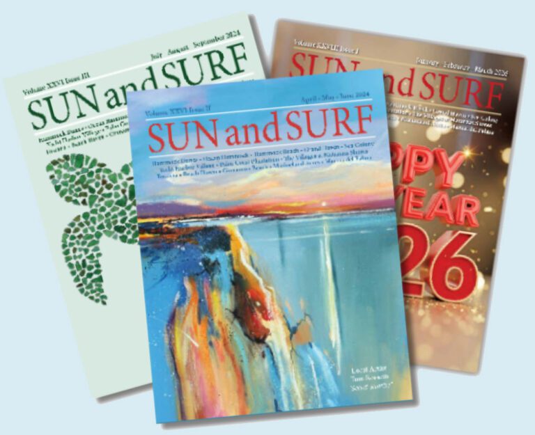 Sun and Surf: Our Stories